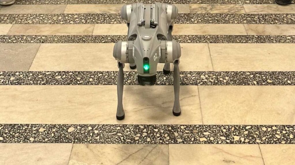 Karadeniz Teknik Üniversitesi'nin geliştirdiği robotik köpekler, deprem sonrası hasar tespitinde kullanılmak üzere tasarlandı.
