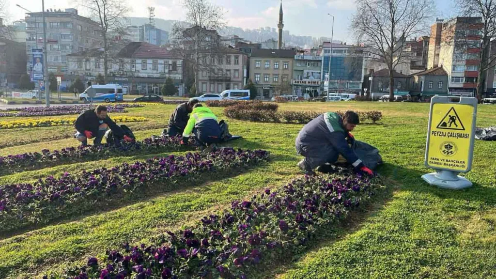 Trabzon Büyükşehir Belediyesi, şehir genelinde çevre düzenleme ve peyzaj çalışmalarına devam ediyor.
