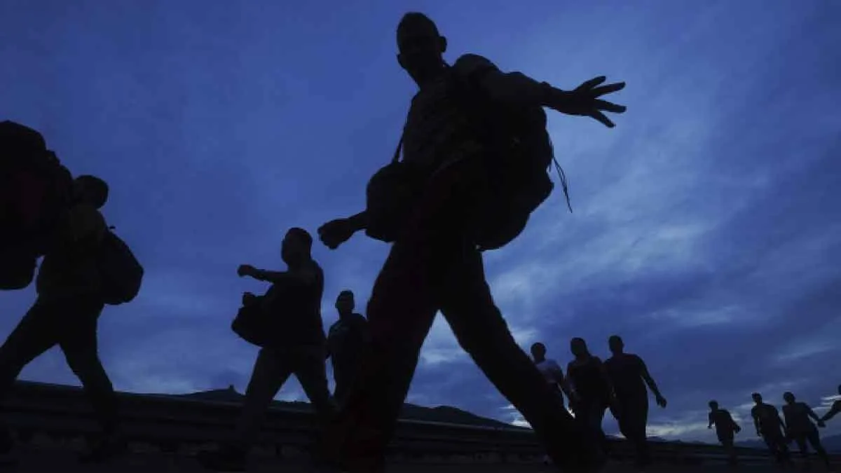 Trabzon'da kaçak göçmenler ve organizatörler yakalandı.
