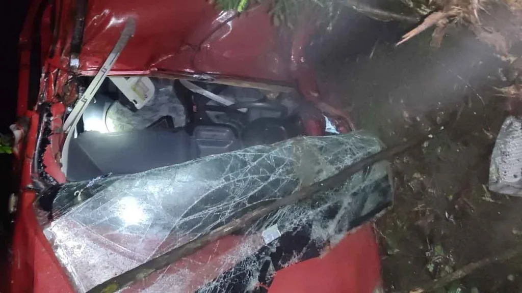 Trabzon Şalpazarı’nda sis nedeniyle uçuruma yuvarlanan araçta iki kişi hayatını kaybetti