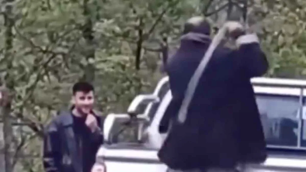Yomra'da şiddet gören köpek, belediye tarafından sahiplenilecek.