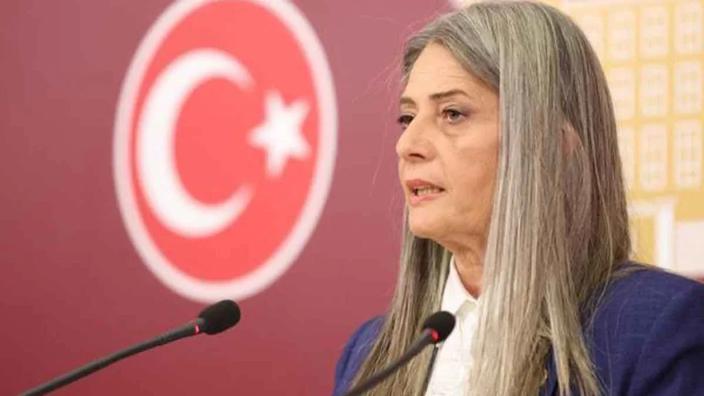 CHP Milletvekili Sibel Suiçmez, öğretmen atamaları hakkında açıklama yapıyor