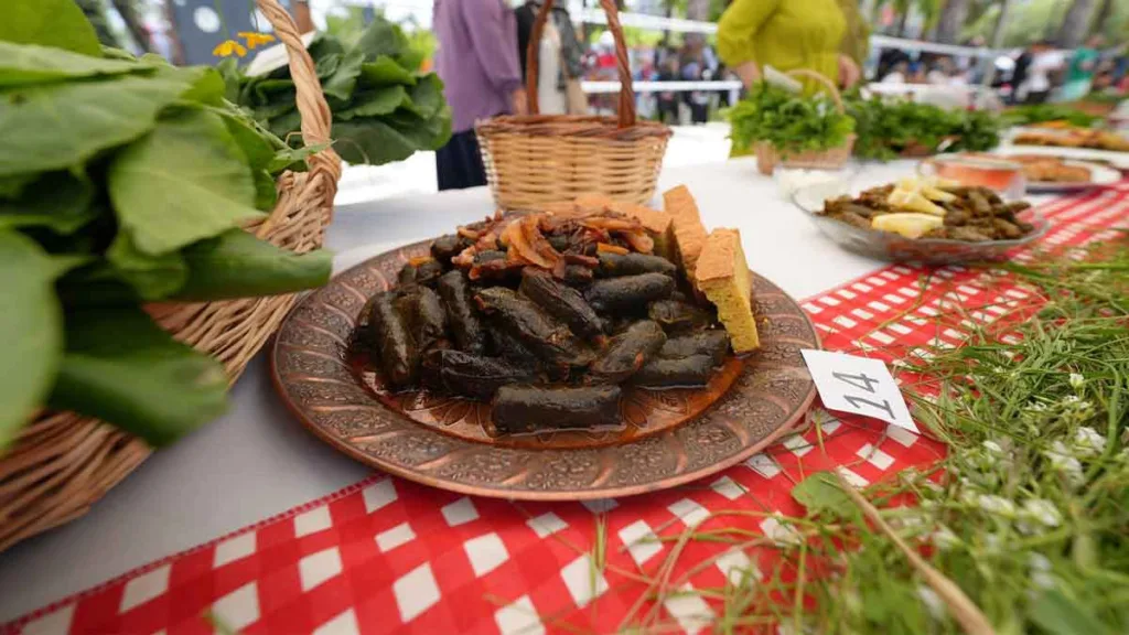 Akçaabat’ta düzenlenen ilk Ot Festivali, yöresel otlar ve kültürel etkinliklerle renkli görüntülere sahne oldu