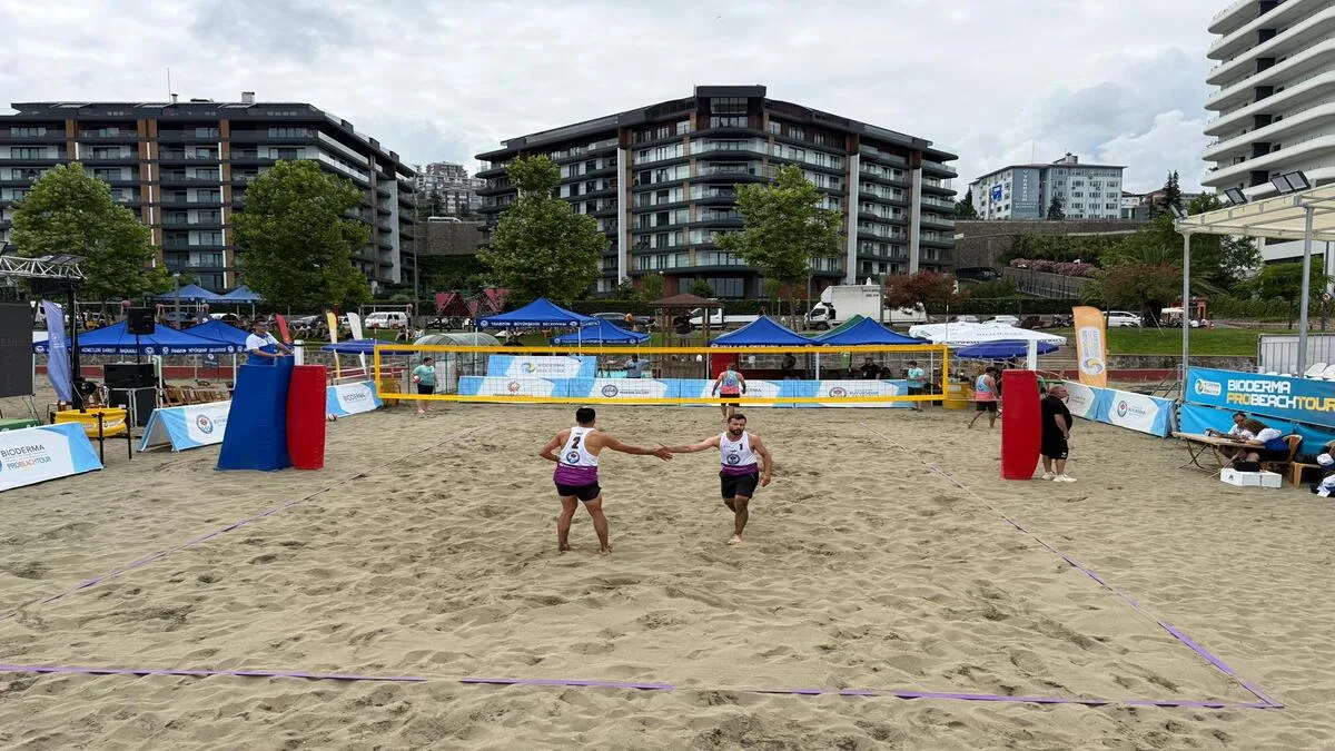 vb