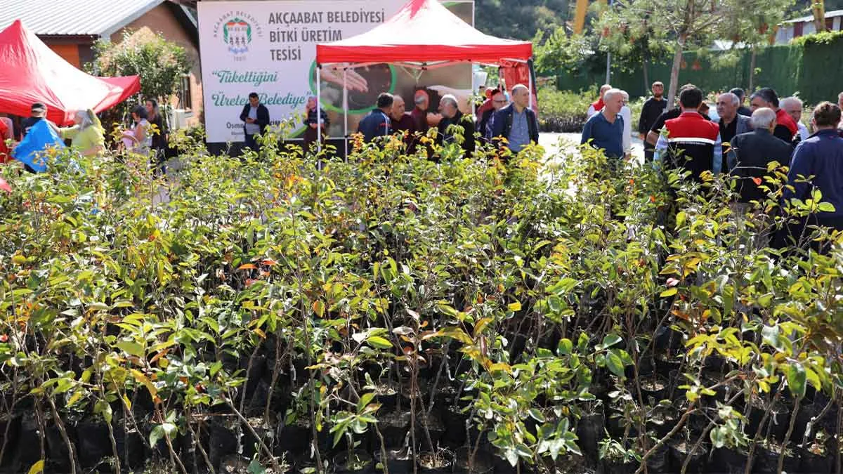 Akçaabat’ta tarımsal üretime destek 1 Akcaabatta tarimsal uretime destek