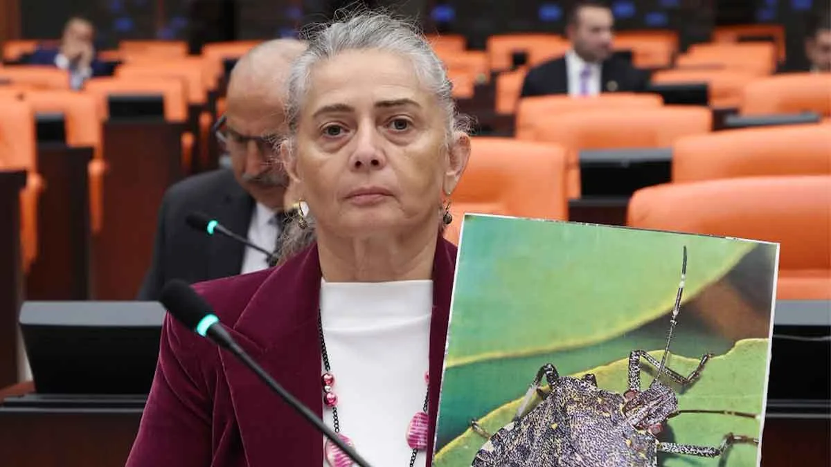 Trabzon Milletvekilinden mecliste kokarca isyanı 1 Trabzon Milletvekilinden mecliste kokarca isyani