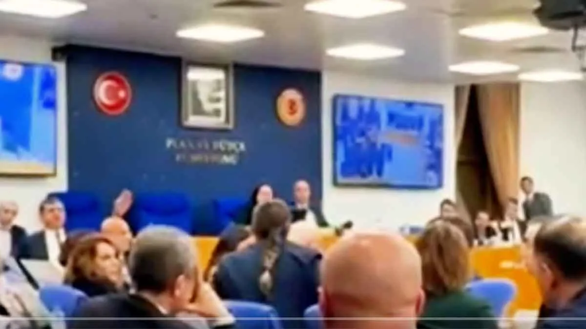 DEM-Parti-Milletvekilin-Türk-askerlerine-tecavüzcü-ve-işgalci-demesi-ortalığı-karıştırdı