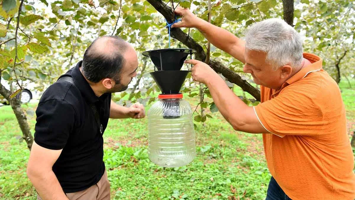 Büyükşehir'den-tarımsal-üretim-hamleleri