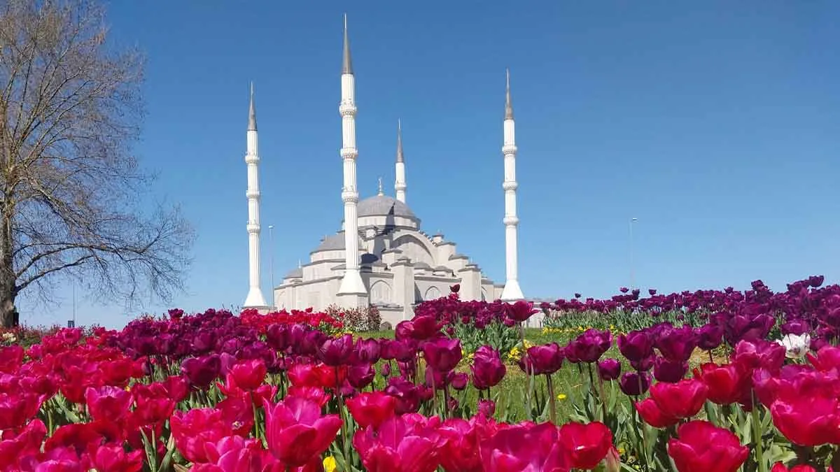 Trabzon-Hanife-Hatun-Camii