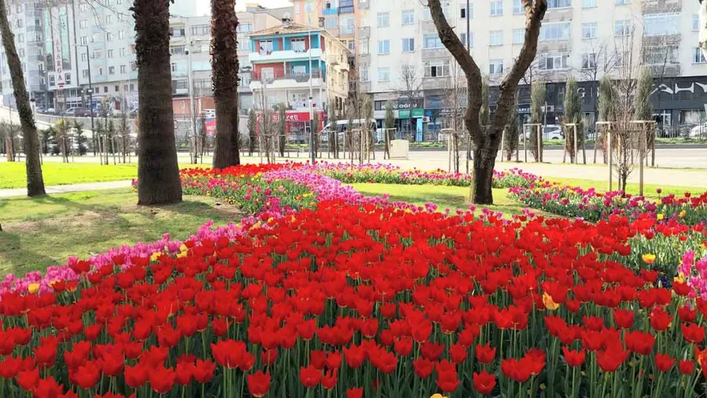 Trabzona estetik dokunus