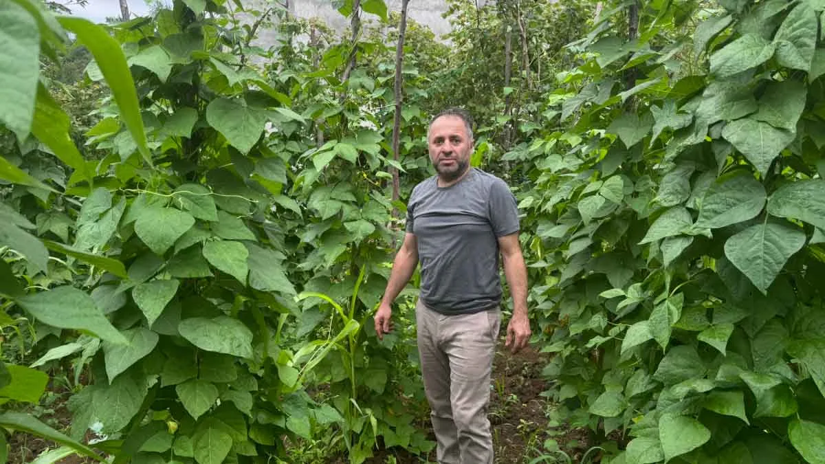 fatih-çolak-trabzon-ata-tohumu