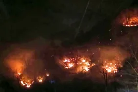 trabzon-araklı-sürmene-orman-yangını