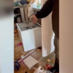 ayilar-yayla-evine-girdi