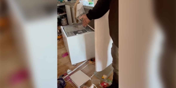 ayilar-yayla-evine-girdi