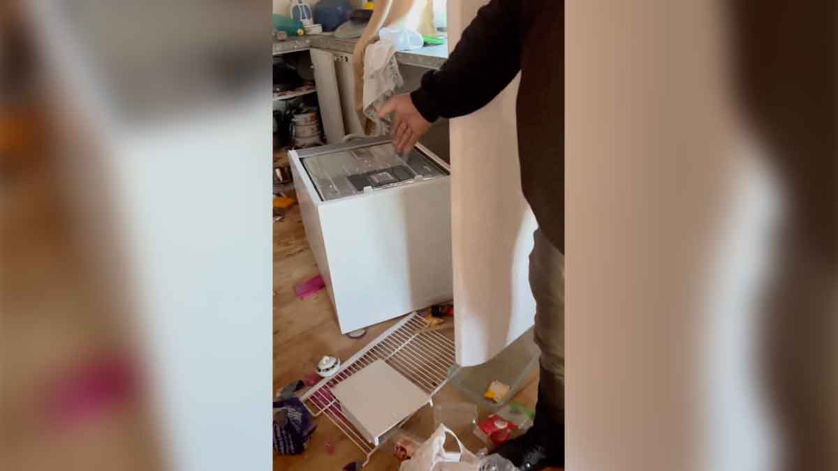 ayilar-yayla-evine-girdi