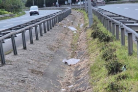 karadeniz-sahil-yolu-kirlilik