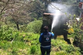 trabzon-kokarca-ile-mucadele