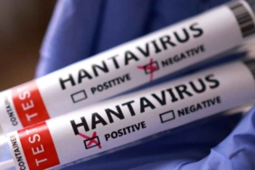 hantavirüs