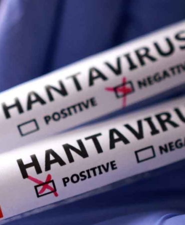 hantavirüs
