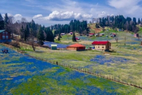 trabzon-kadiralak-yaylası